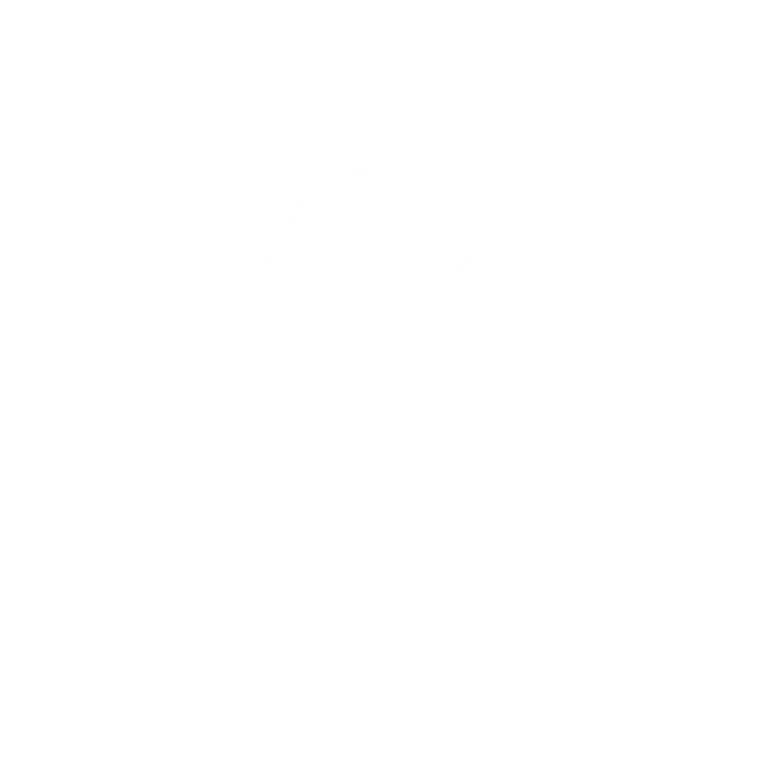 Delizie 1995